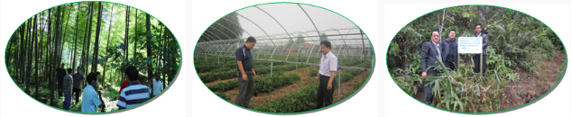 1512118367461042.jpg 25.jpg