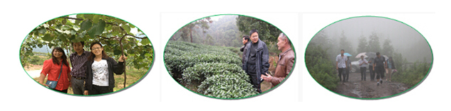 1512118383115669.jpg 26.jpg