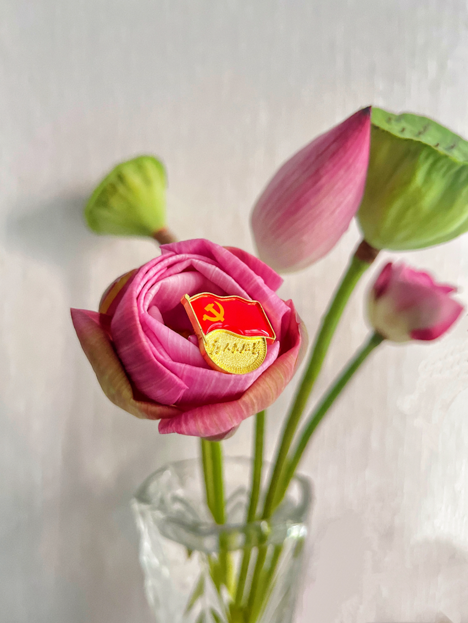 1754385855968717.png 楊振燕.png