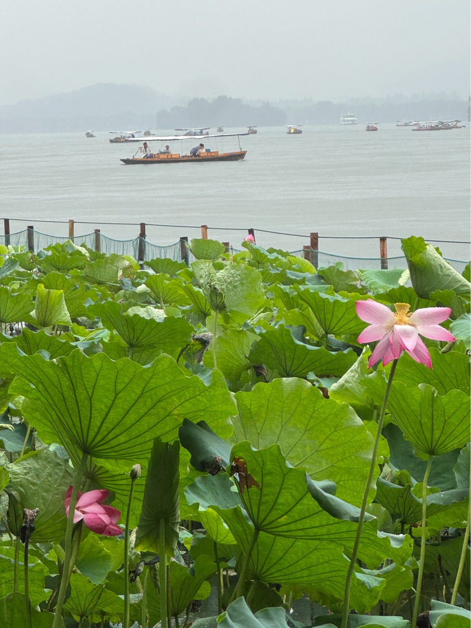 1754385895166294.png 余聰濤.png