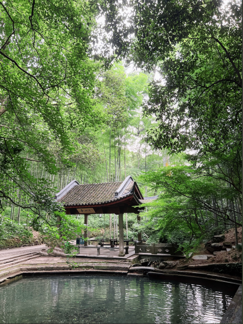 1754386554744973.png 1754386327985.png