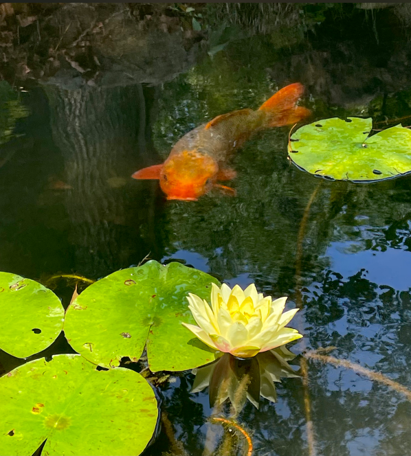 1754386614953447.png 1754386380933.png