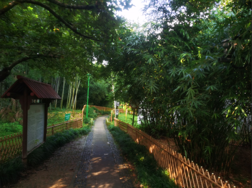 1754386696742487.png 1754386467713.png